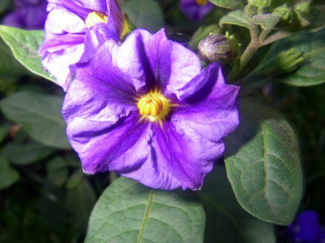 2010 05 24 jeanmarcperfetti.com 052.JPG